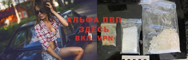 шишки Вязники