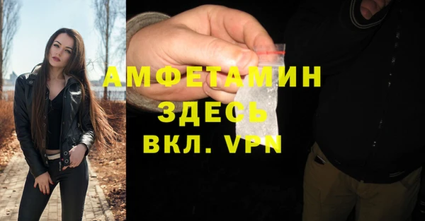 шишки Вязники
