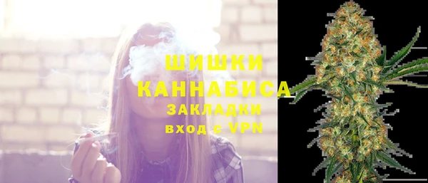гашик Вязьма
