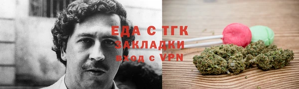 гашик Вязьма
