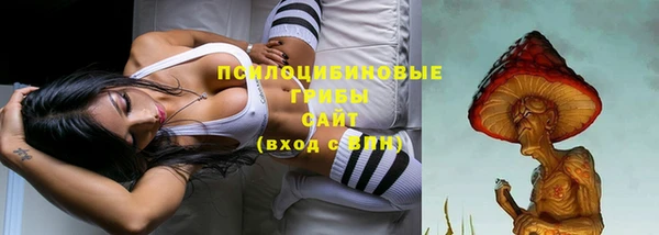 гашик Вязьма