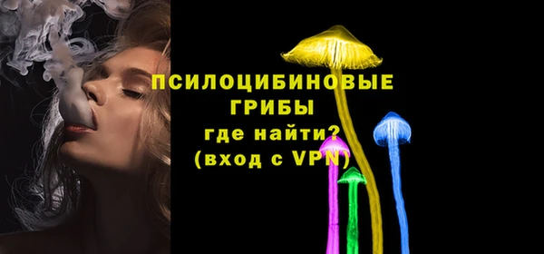 первитин Вяземский