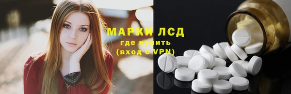 гашик Вязьма