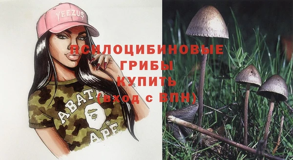 первитин Вяземский
