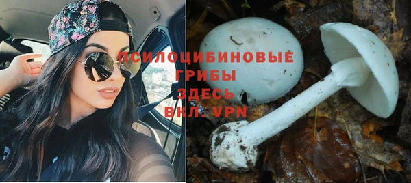 гашик Вязьма
