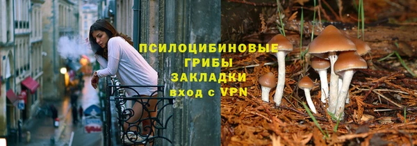 гашик Вязьма