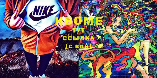 гашик Вязьма