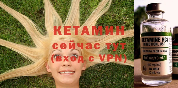 гашик Вязьма